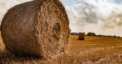 Agricoltura, foto Parlamento europeo