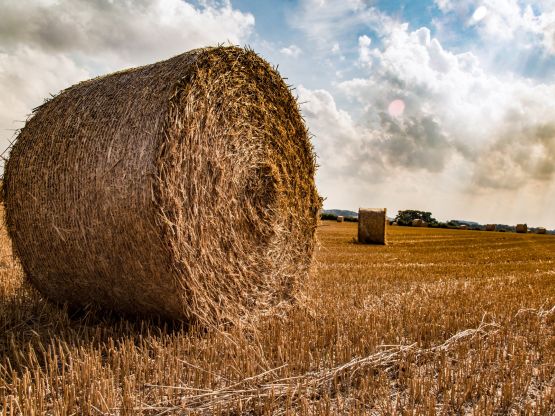 Agricoltura, foto Parlamento europeo