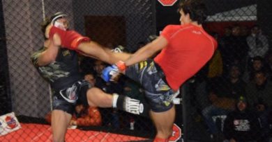 Combattimento di Mma