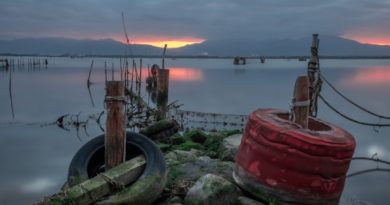 Laguna di Santa Gilla, foto Marina Federica Patteri