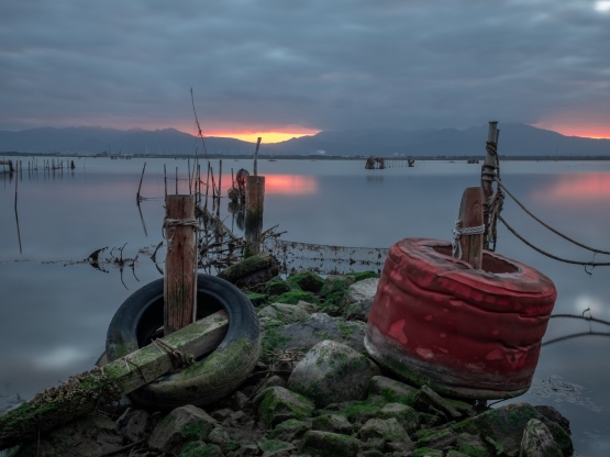 Laguna di Santa Gilla, foto Marina Federica Patteri