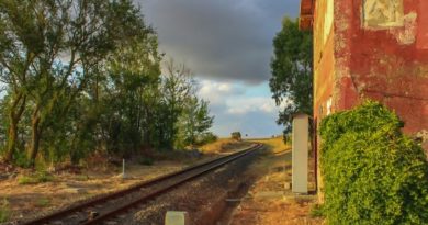 Programmazione territoriale