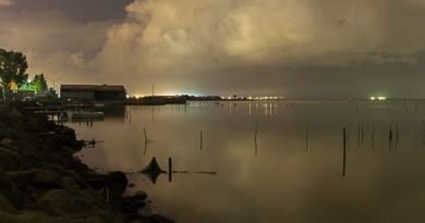 Laguna di Santa Gilla, foto Marina Federica Patteri