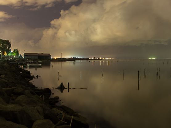 Laguna di Santa Gilla, foto Marina Federica Patteri