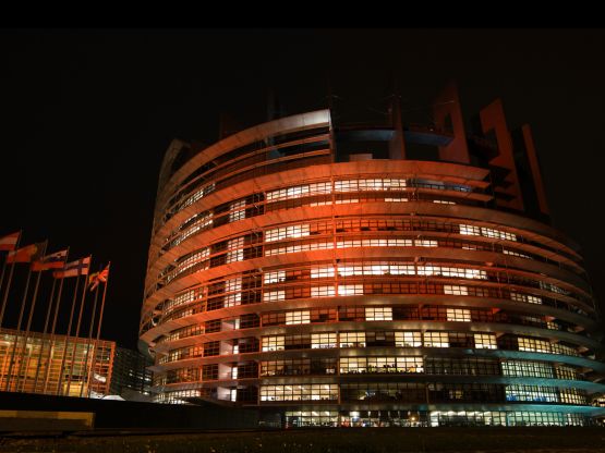 Parlamento europeo, fonte europarl.europa.eu