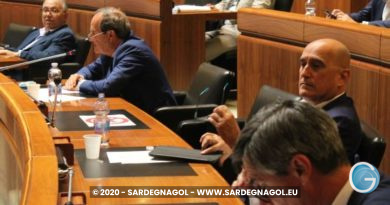 Audizioni delle Associazioni di Categoria, foto Sardegnagol riproduzione riservata