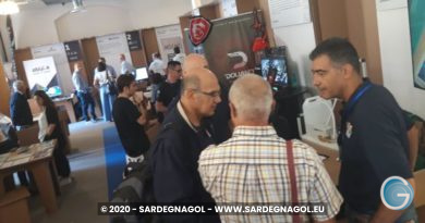 Fiera, foto Sardegnagol riproduzione riservata