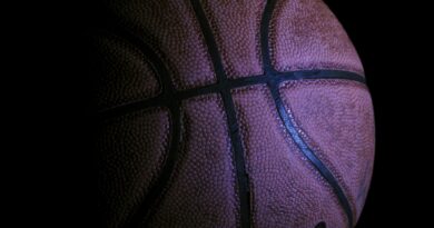 Basket, Foto di Brian Merrill da Pixabay