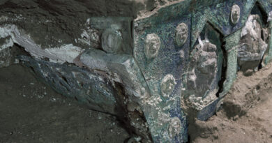 Carro Pompei, foto Luigi Spina