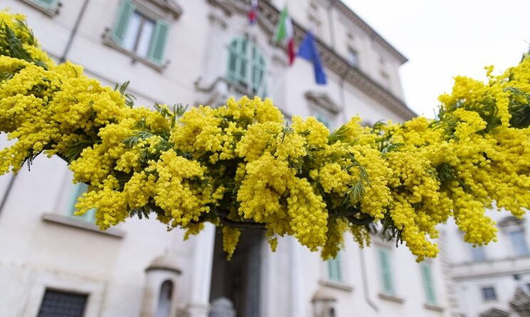 Quirinale 8 Marzo