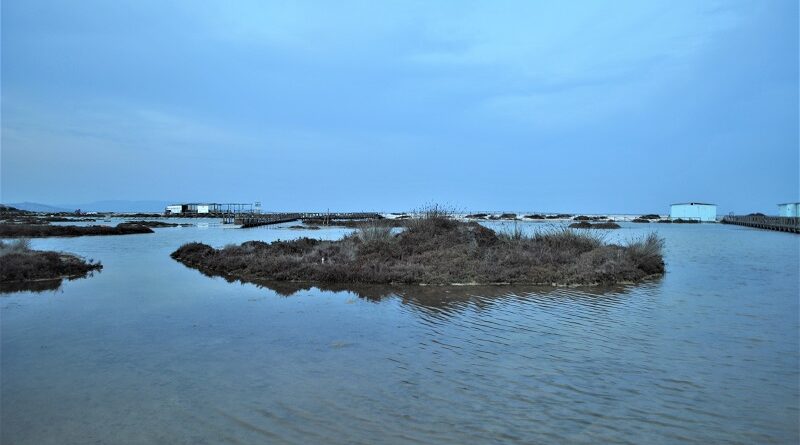 Le Saline, Stintino