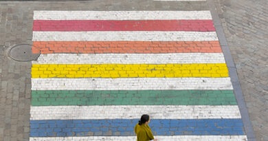 Omotransfobia, Foto Copyright European Parlaiment source EP 2019, foto Dominique Hommel