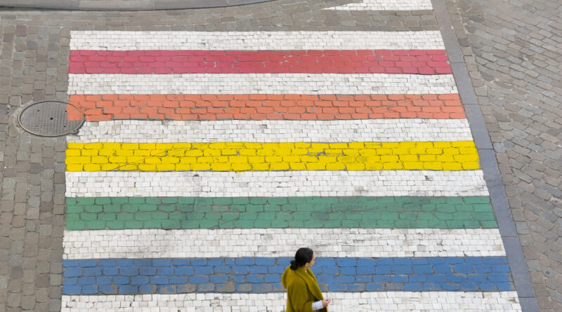 Omotransfobia, Foto Copyright European Parlaiment source EP 2019, foto Dominique Hommel