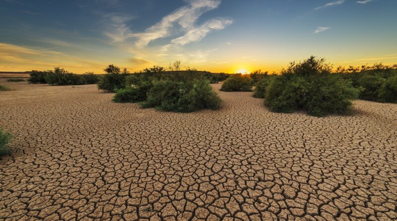 desertificazione, Foto di Jose Antonio Alba da Pixabay