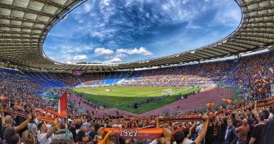 Stadio Olimpico, Foto di Marco Pomella da Pixabay