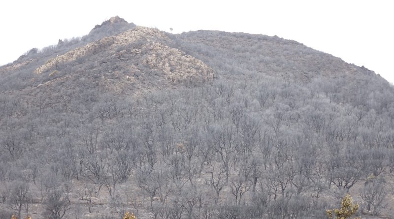 Incendi Sardegna