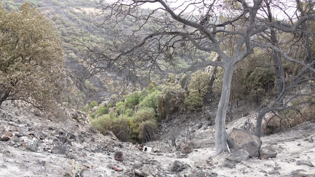 Incendi Sardegna