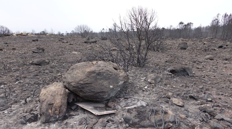 Incendi Sardegna