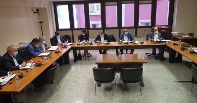 Commissione, Consiglio regionale