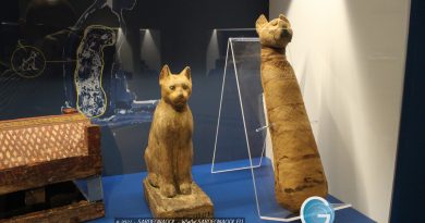 Mummie animali, foto Sardegnagol riproduzione riservata