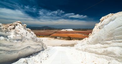 Saline Conti Vecchi, Foto Andrea Mariniello 2017, (Copyright) FAI - Fondo Ambiente Italiano