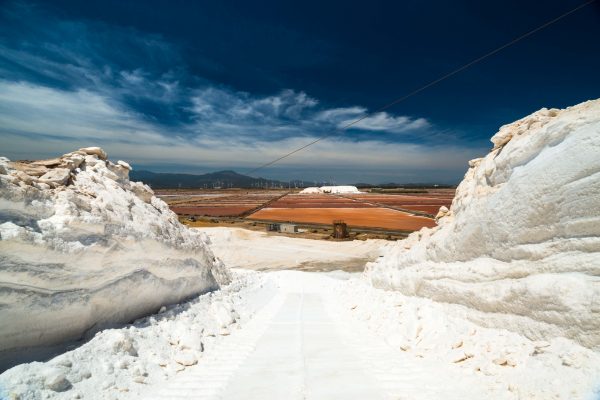 Saline Conti Vecchi, Foto Andrea Mariniello 2017, (Copyright) FAI - Fondo Ambiente Italiano