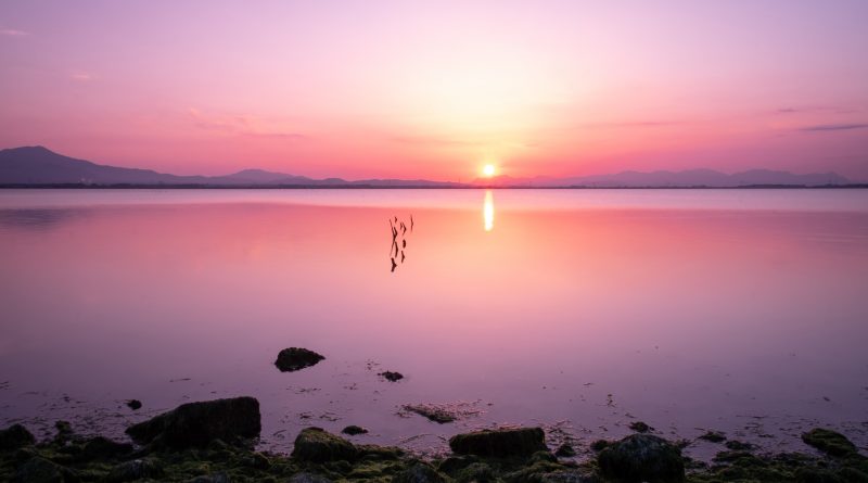 Voci dalla Laguna