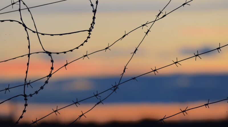 barbed wire fence, foto di Антон Дмитриев on Unsplash