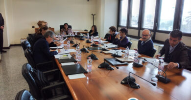 Commissione Lavoro, foto Sardegnagol riproduzione riservata