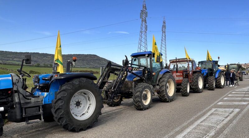 Manifestazione Coldiretti