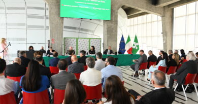 Convegno