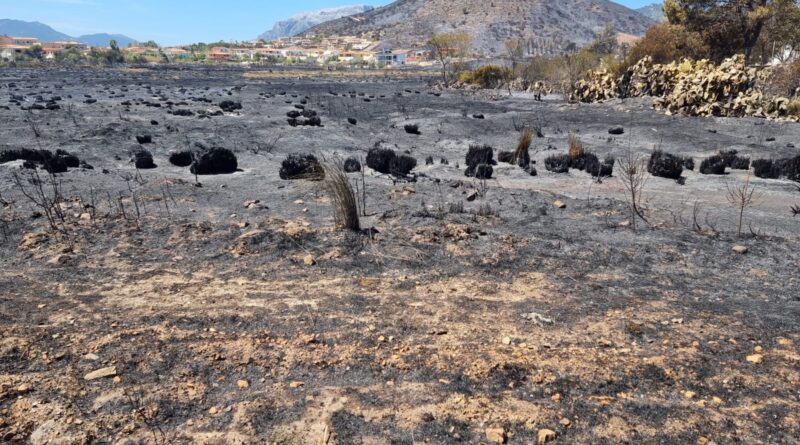 Incendio Sardegna