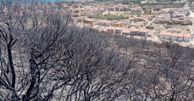 Incendio Sardegna