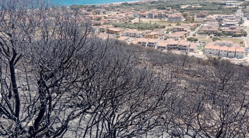 Incendio Sardegna