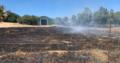 Incendi Sardegna