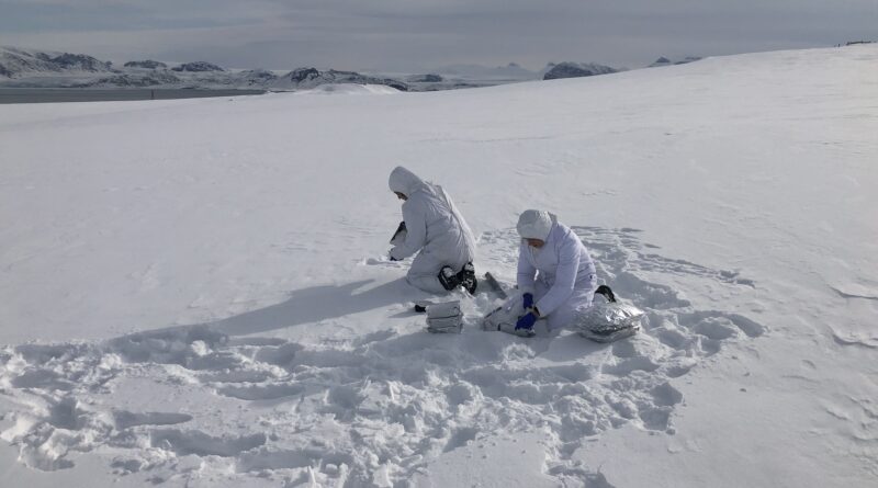 Campionamento sulla neve, foto F. Scoto, CNR - Unive