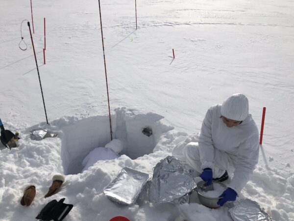 Campionamento sulla neve, foto F. Scoto, CNR - Unive