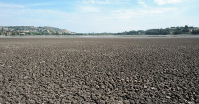 Lago, foto greenpeace