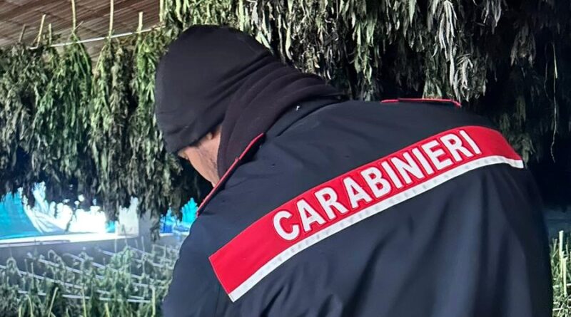 Carabinieri