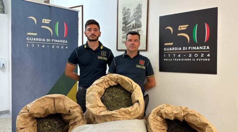 Guardia di Finanza