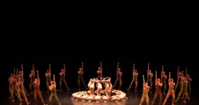 Le Sacre du Printemps (photo Shoko Matsuhashi)