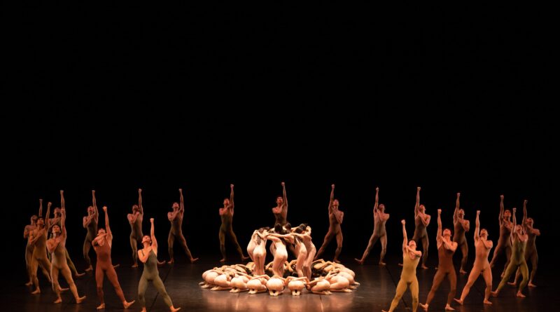 Le Sacre du Printemps (photo Shoko Matsuhashi)